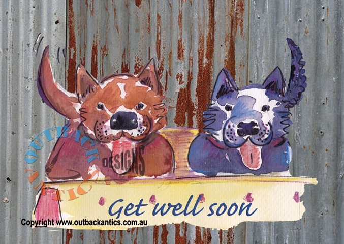 Get Well dogs 6-Pack